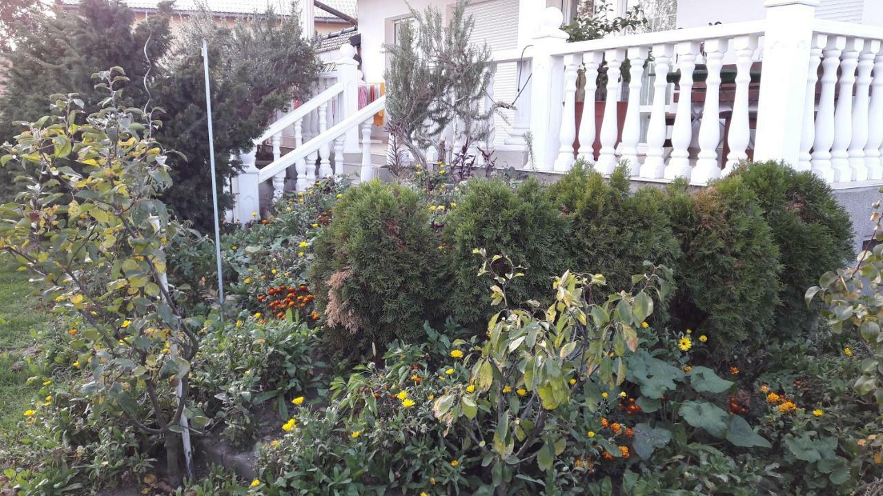 Leon'S Silberwald Apartment Strasshof an der Nordbahn Exterior foto